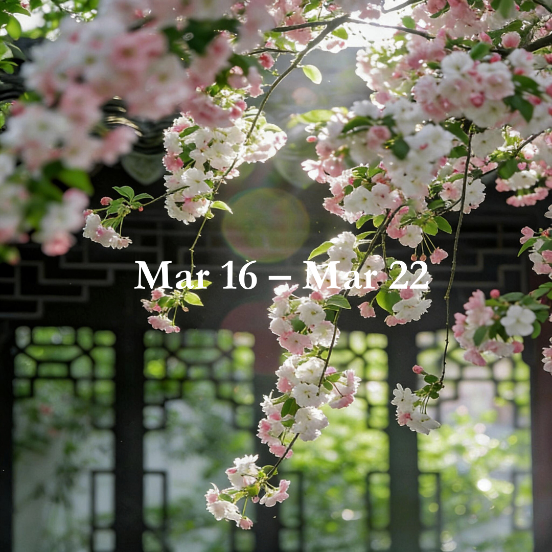 Weekly Energy Forecast: Mar 16 – Mar 22,2026