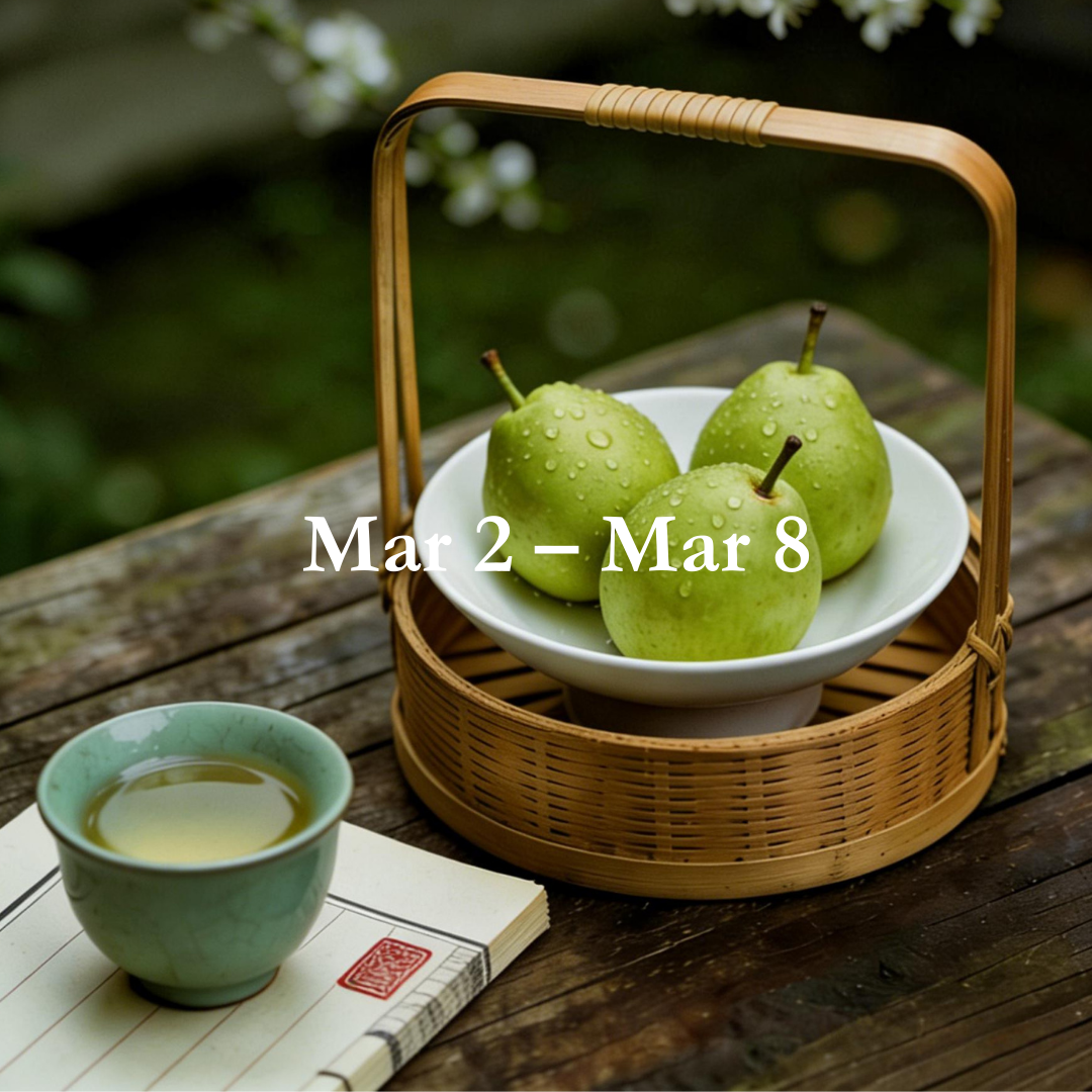 Weekly Energy Forecast: Mar 2 – Mar 8,2026