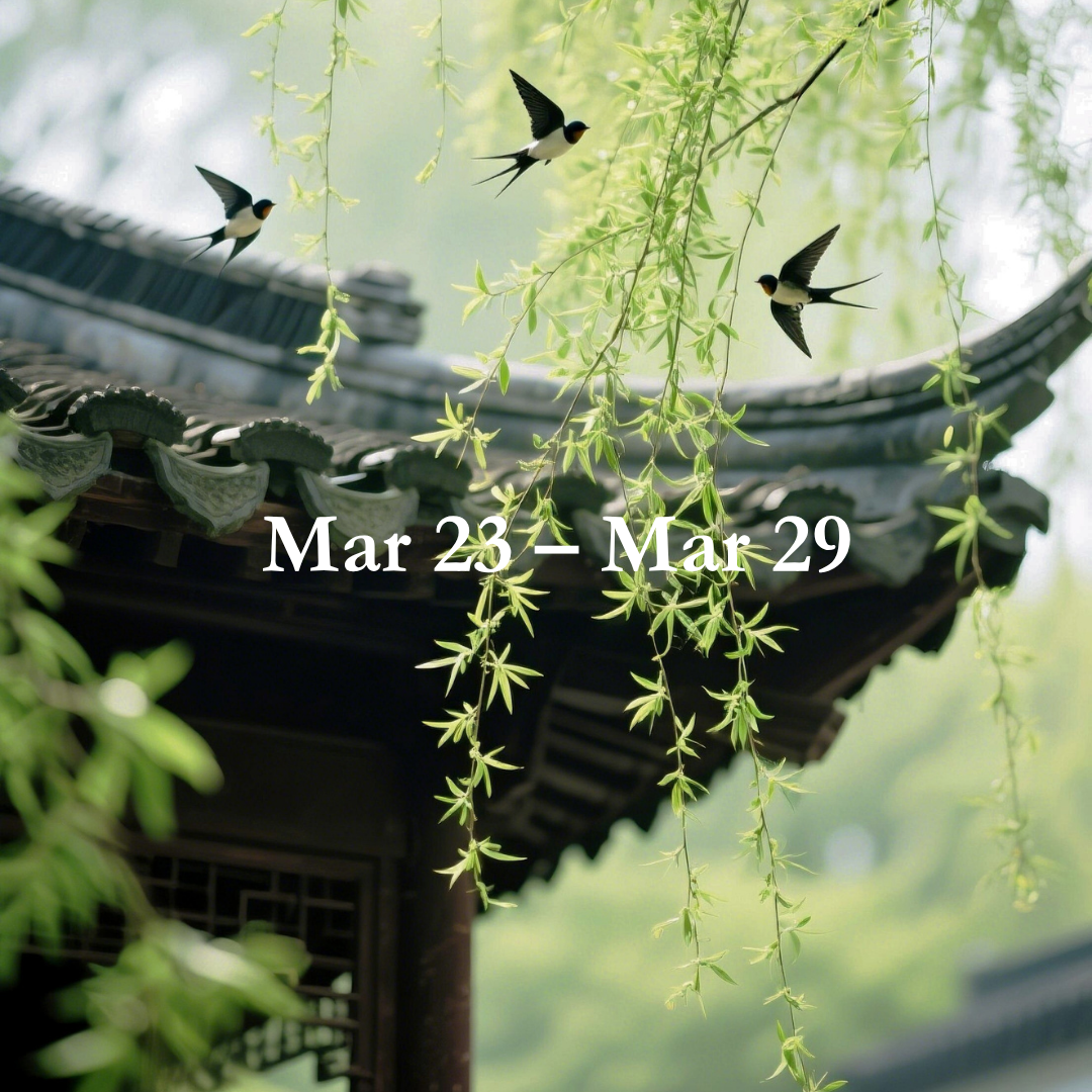 Weekly Energy Forecast: Mar 23 – Mar 29,2026
