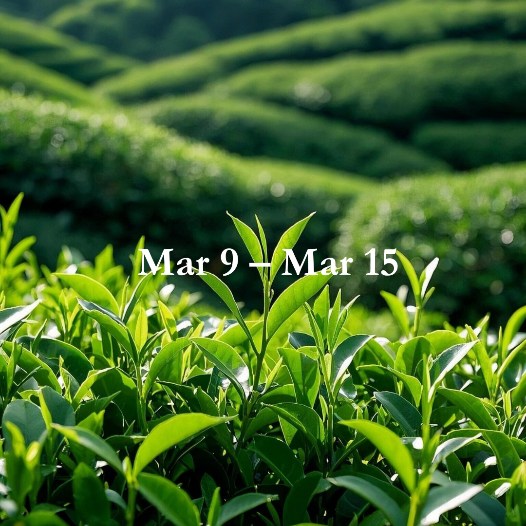 Weekly Energy Forecast: Mar 9 – Mar 15,2026