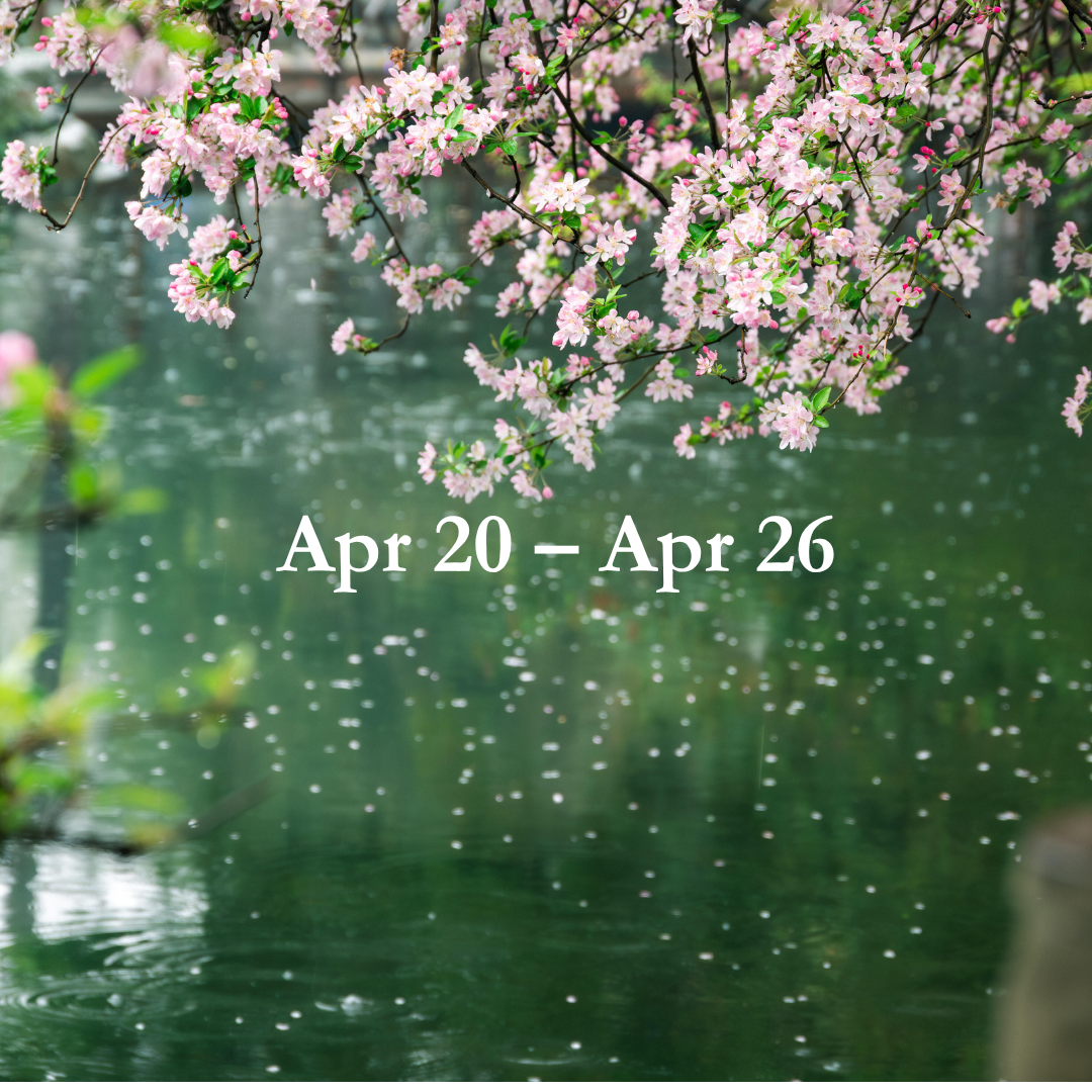 Weekly Energy Forecast: Apr 20 – Apr 26,2026