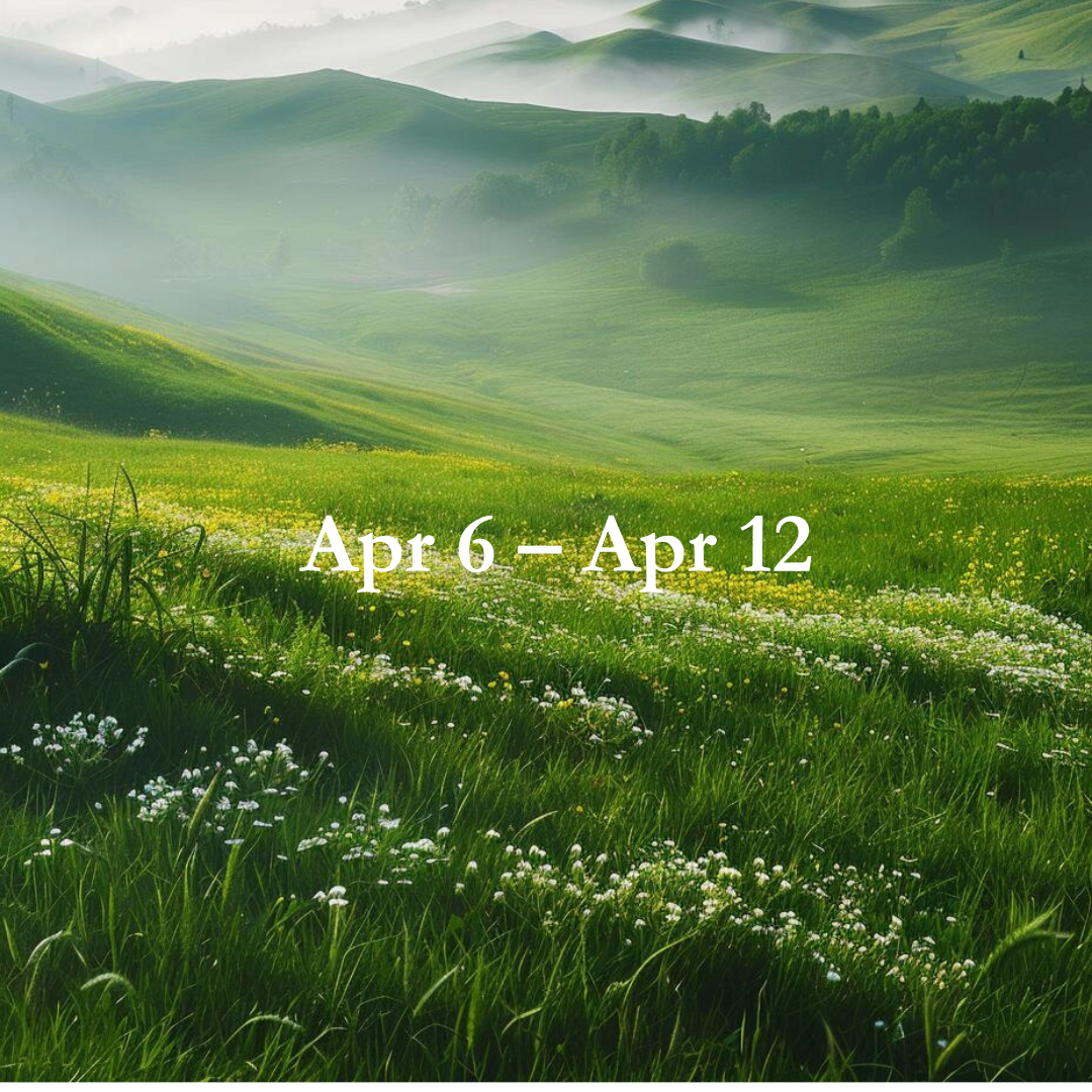 Weekly Energy Forecast: Apr 6 – Apr 12,2026