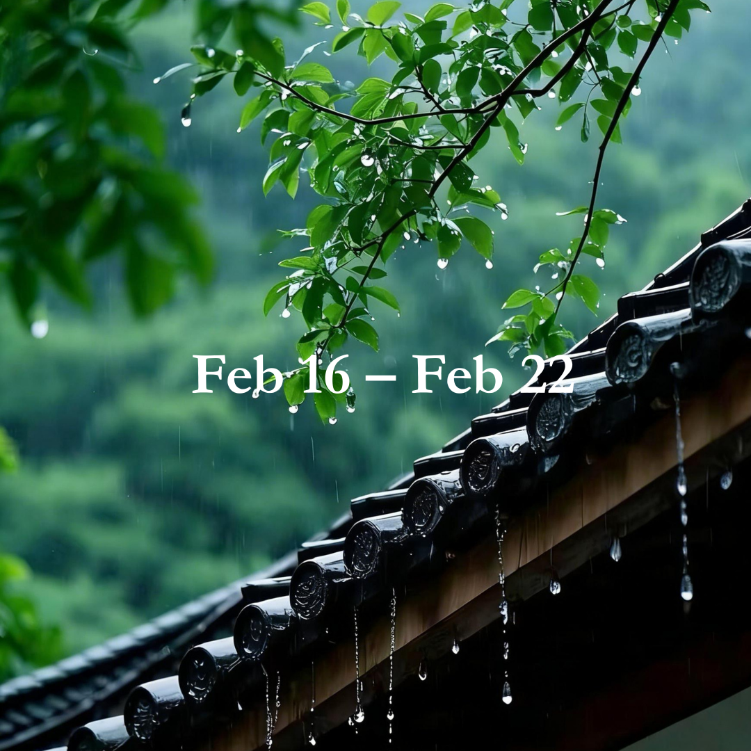 Weekly Energy Forecast: Feb 16 – Feb 22,2026