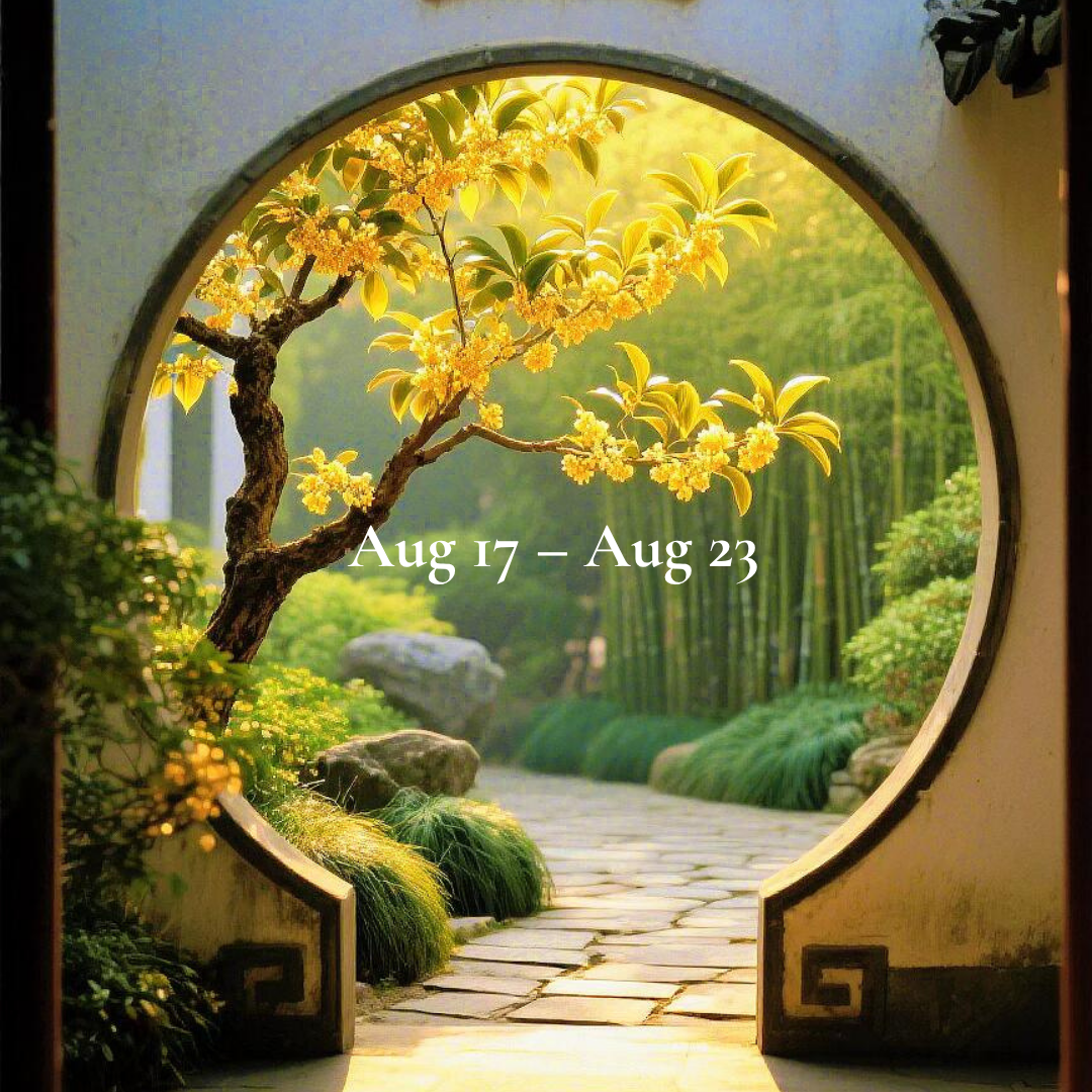 Weekly Energy Forecast: Aug 17 – Aug 23,2026