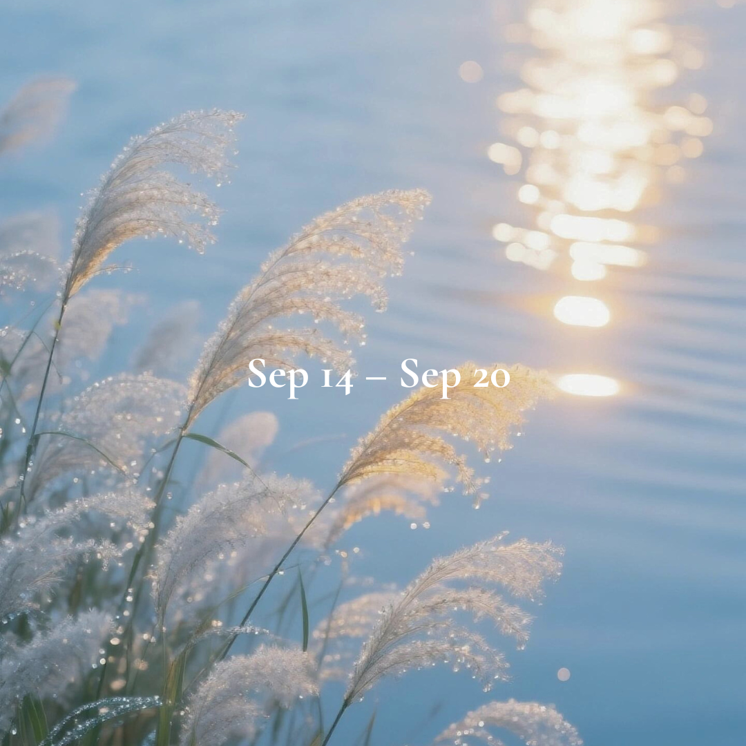 Weekly Energy Forecast: Sep 14 – Sep 20,2026